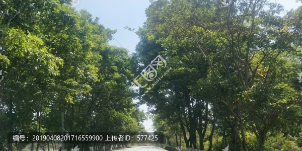 德宏風情