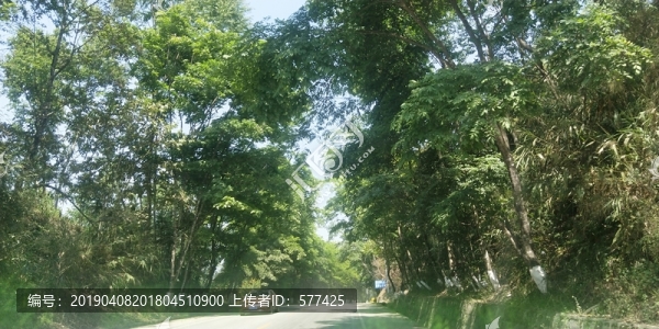 德宏風情