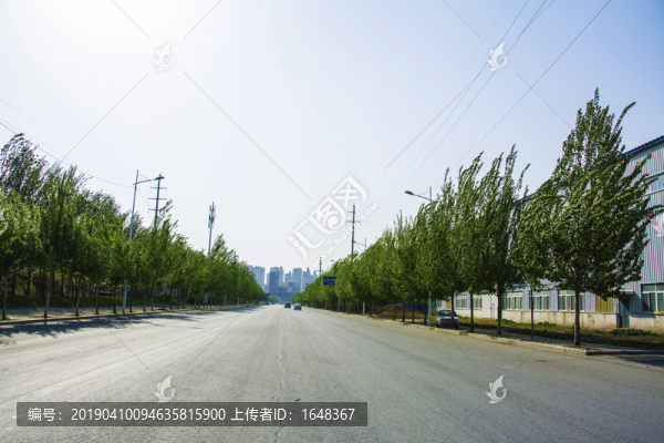 鞍山羊草莊公路與兩側(cè)樹木