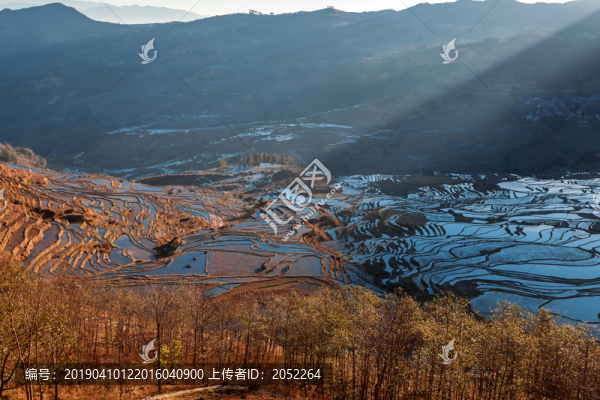 元陽梯田