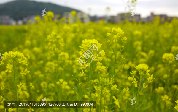 特色鄉(xiāng)村