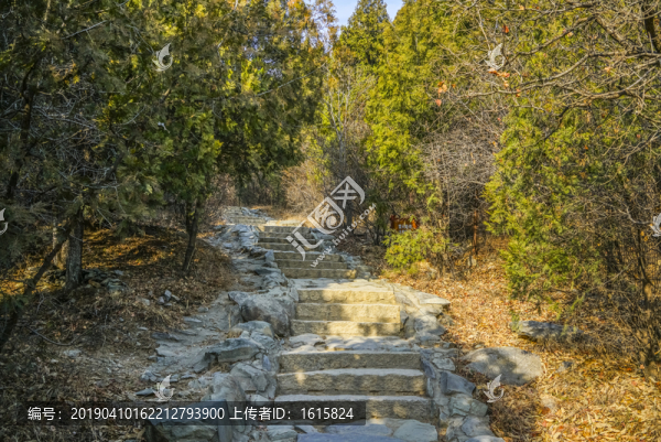 登山步道高清大圖