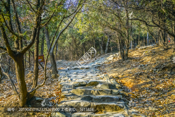 登山步道高清大圖