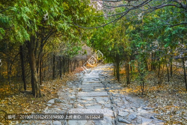 登山步道高清大圖