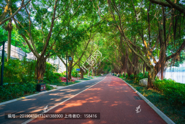 南寧南湖公園跑道林蔭小路