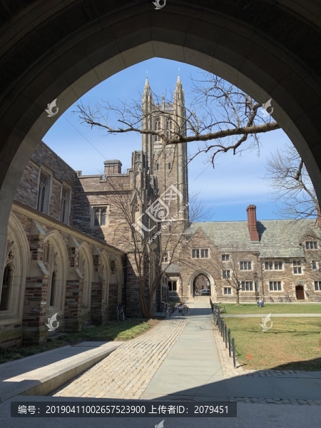 美國藤校之普利斯頓大學