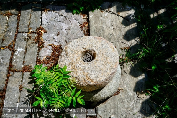古井高清大圖