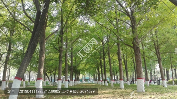 春天的公園