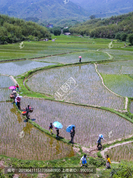 農(nóng)田