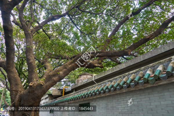 綠瓦