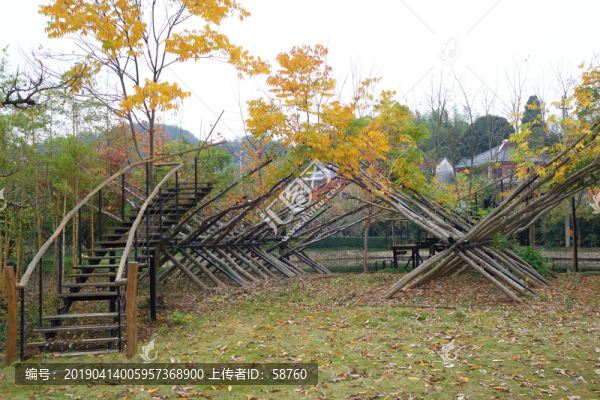 莫干山景區(qū)傾斜的樹木造型