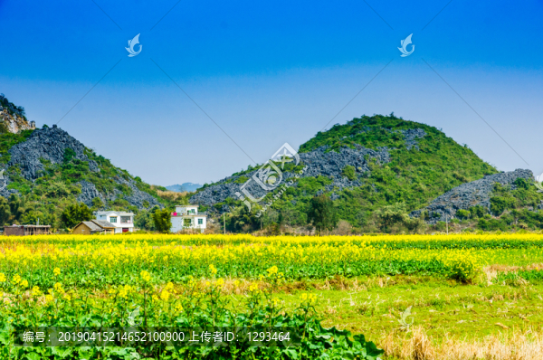 山景田園風(fēng)光