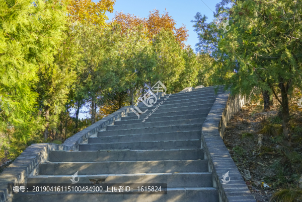 登山步道高清大圖