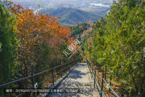 登山步道高清大圖