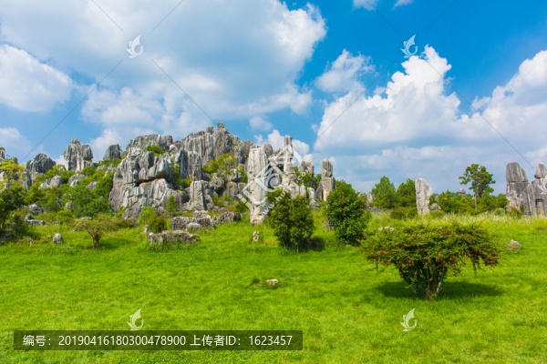 昆明石林景區(qū)的奇石