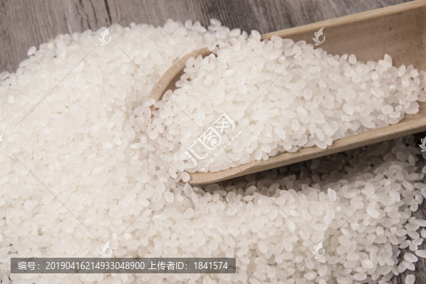 珍珠米