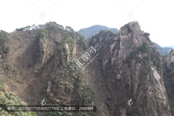 山與樹(shù)