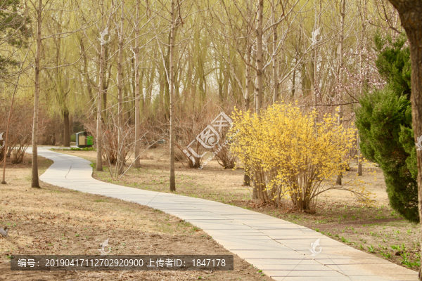 小路