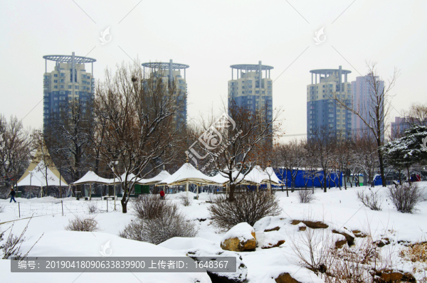 鞍山孟泰公園雪地樹木與高層建筑