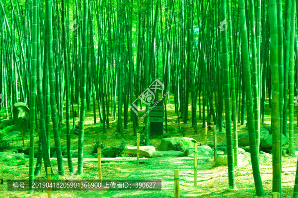 竹林