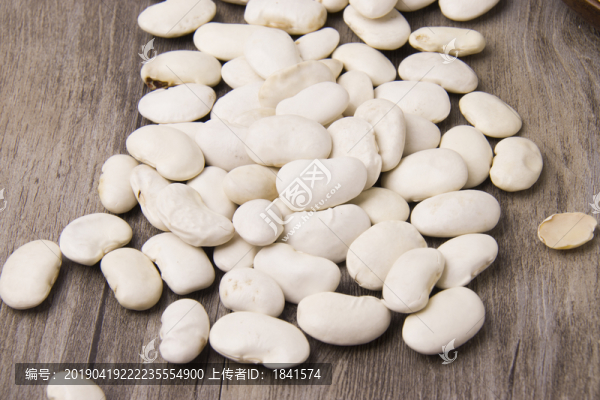 雪豆