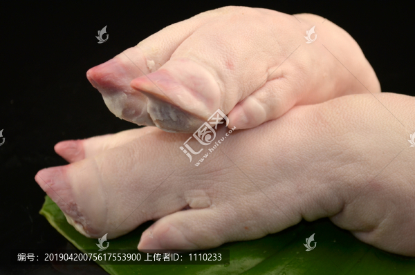 生豬手