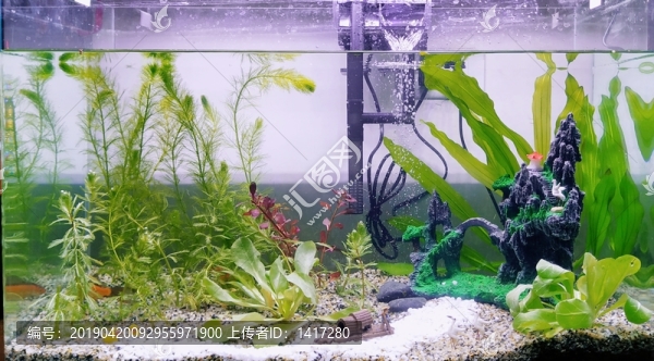 魚缸