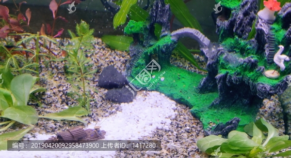 魚缸