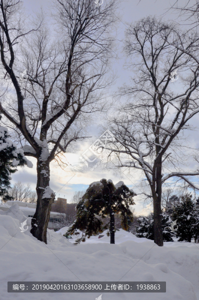 大學(xué)雪景