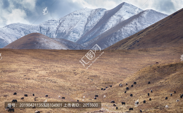 甘南?？撇菰L(fēng)景