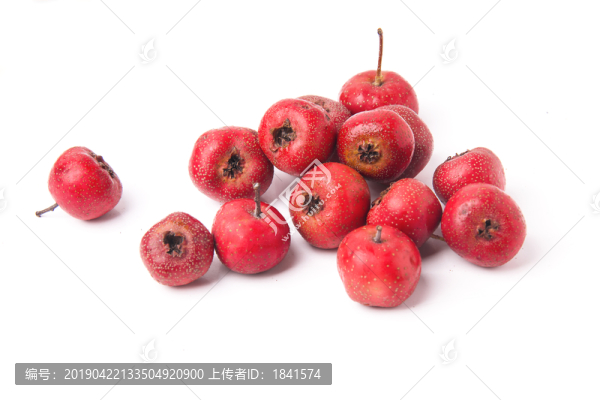 山楂