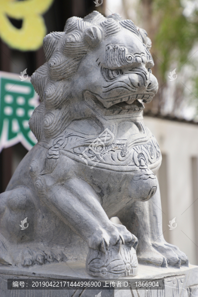 形態(tài)各異的石獅子