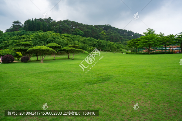 城市陽光草地草坪綠樹林背景素材