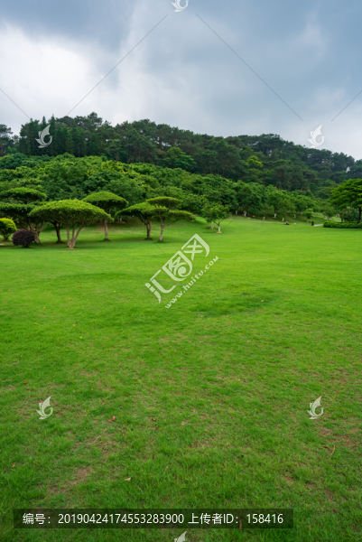 城市陽光草地草坪綠樹林背景素材