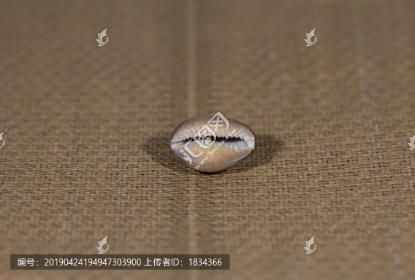 古錢(qián)幣