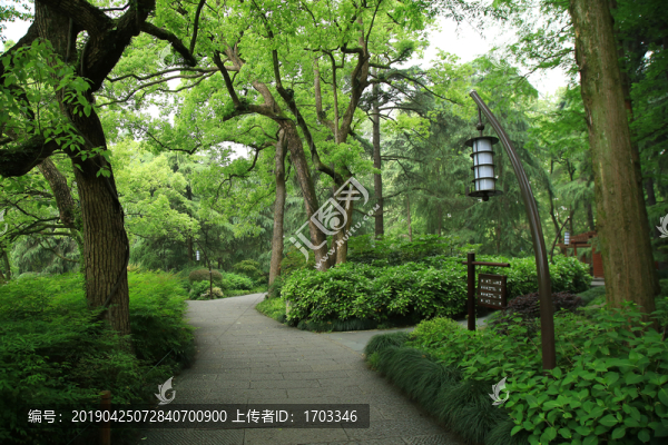 公園景觀