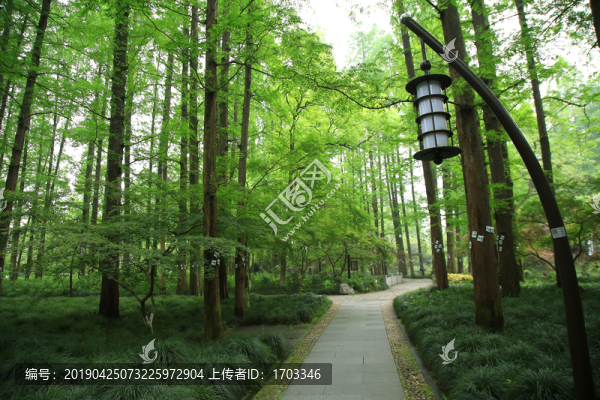 公園景觀