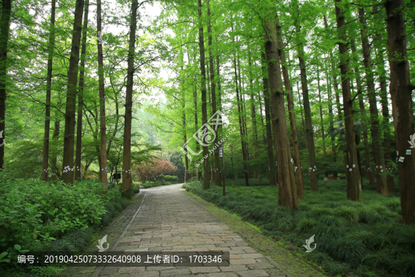 公園景觀