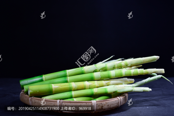 竹子筍