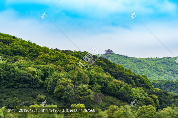 山景