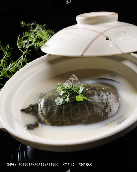 一品翅湯燴甲魚
