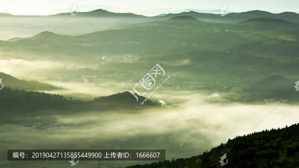 原野