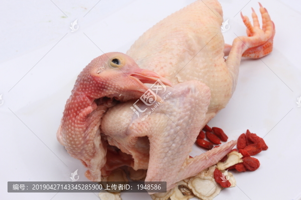 烹飪食材