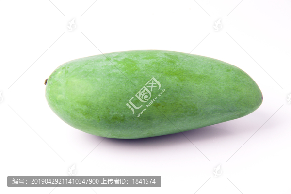 大青芒