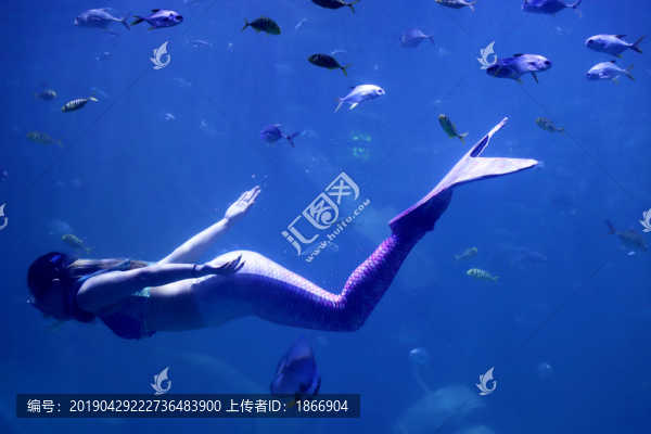 美人魚