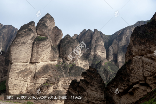 黃河石林