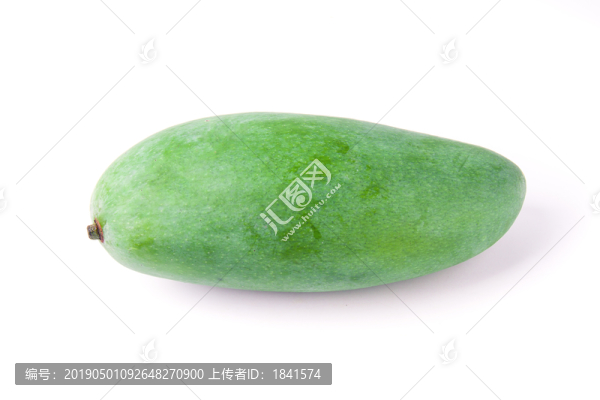 大青芒