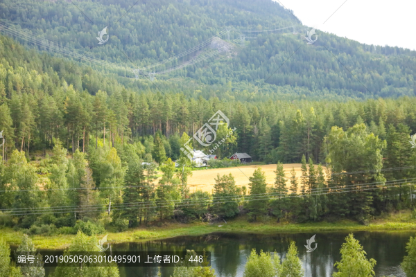 森林湖水