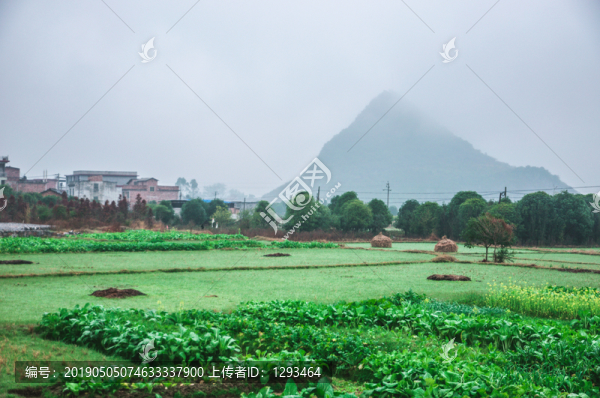 霧色田園風(fēng)光