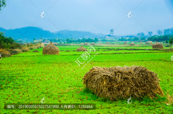 田園風(fēng)光
